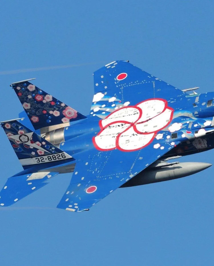 The Art of Japan's Painted F-15 Fighter Jets │Yokogao Magazine